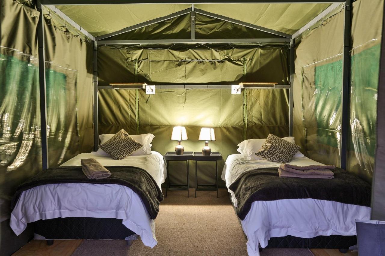 Tented Adventures 兰斯堡 外观 照片