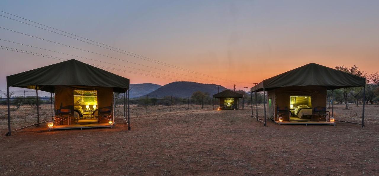 Tented Adventures 兰斯堡 外观 照片