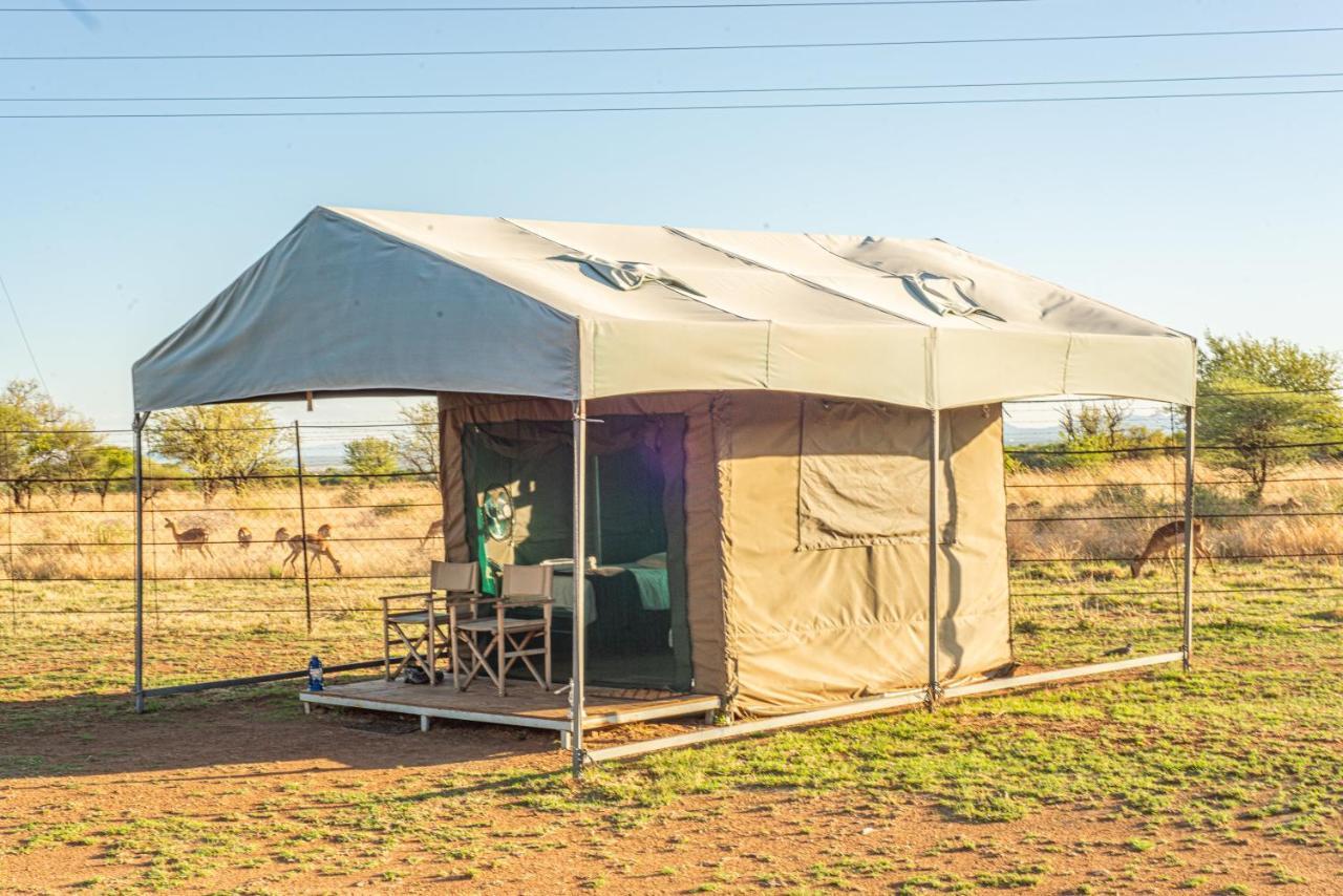 Tented Adventures 兰斯堡 外观 照片